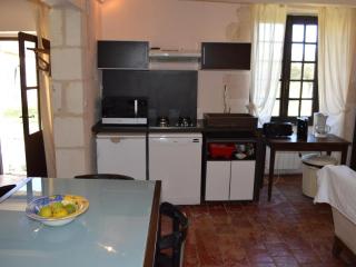 Maison romantique avec jardin au cœur des Châteaux de la Loire, animaux acceptés - FR-1-381-482 - 4