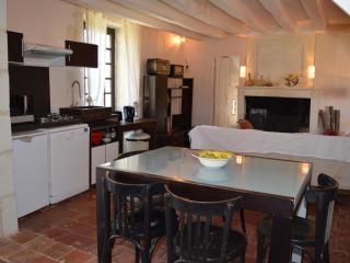 Maison romantique avec jardin au cœur des Châteaux de la Loire, animaux acceptés - FR-1-381-482 - 2