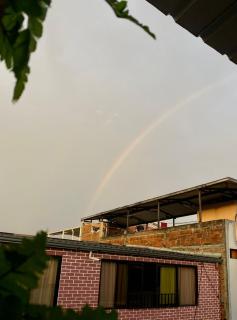 The Magical Garden - 3