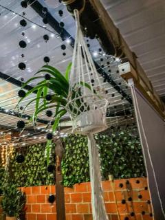 The Magical Garden - 1