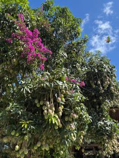 Pousada do Porto - 1