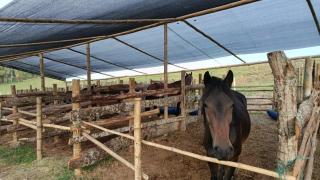 ecohostal namaste - 3