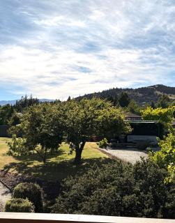 Black Peak View - Wanaka - 6