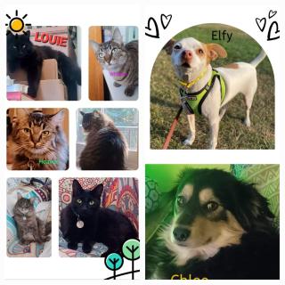 Rosewood Garden Studio - 9