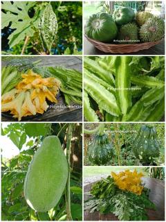 Playa de Bombora Inn - 3