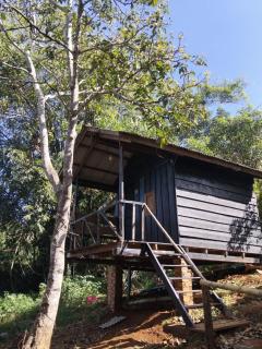 Elephant Bungalow - 9