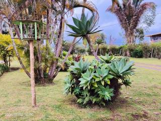 Hotel Campestre Sauzalito - 2