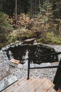 The TREE HAUS A Montana Tiny Cabin Forest Retreat - 1
