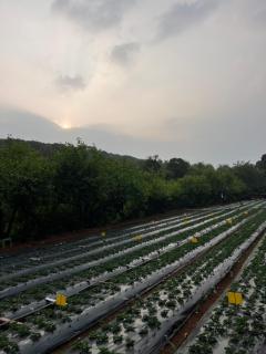 Khushi Riverside Resort & Spa - 3