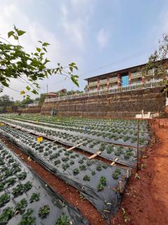 Khushi Riverside Resort & Spa - 8