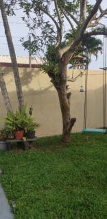 Casa Balneário Ipanema - 6