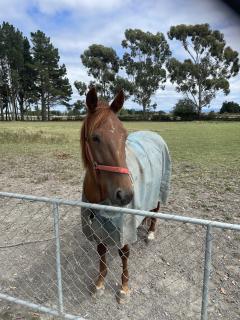 Country Cottage On City Doorstep - 8