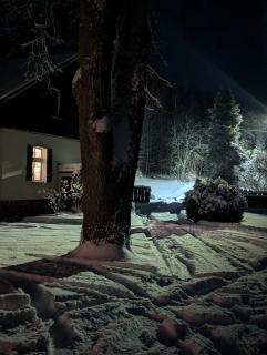 Leśniczówka Wysokie Kaczki -  - 1