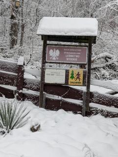 Leśniczówka Wysokie Kaczki -  - 4