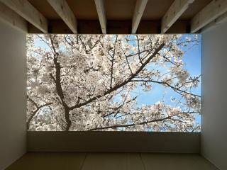 Le Cave Troll ル カーブ トロル - 0