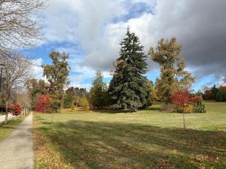Basement Suite in South Vancouver - 1