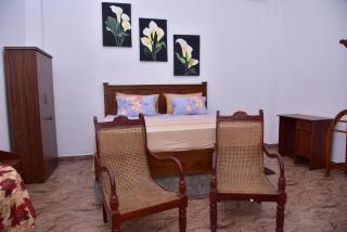 Sala's Tranquil Stay - 5