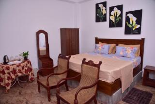 Sala's Tranquil Stay - 3