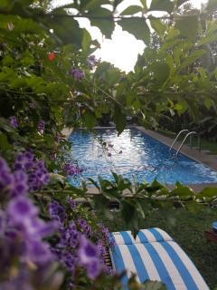 hotel quinta real las palmas malinalco - 5