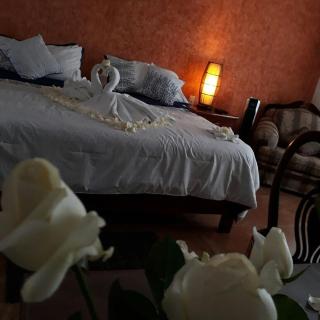 hotel quinta real las palmas malinalco - 3