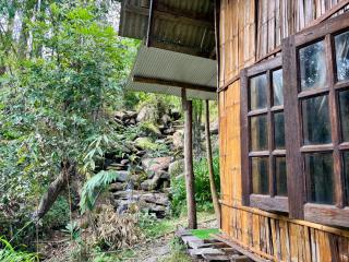 Teepo Ke Hillside Jungle Lodge - 5