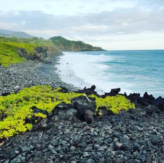 Kykládes Villas - Villa de standing - Langevin - 1