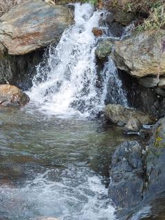 Sunrise Vista Resort & Hotel - 2