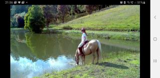 Blue Hills Cottage - 5