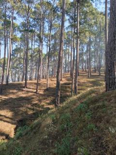 Sunrise Vista Resort & Hotel - 6