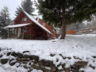 Vén Fenyő Kunyhó - 7