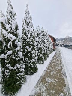 Căsuța Piatra Craiului - 9