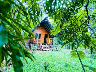 The Carpenter Cottage - 7