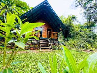 The Carpenter Cottage - 3