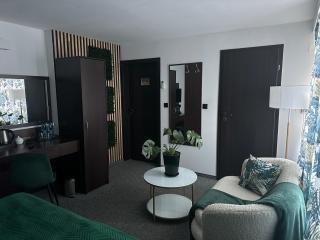 Willa Sandomierska - 9