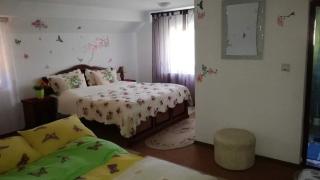 Flori de Bucovina - 4