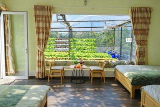 Vườn Nhà Đan Homestay - Dalat - 0