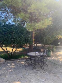 Green House Tunis-Country house 20 min from Tunis - 6