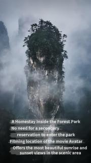 PeakMist Retreat Inside ZhangJiaJie Forest Park - 0