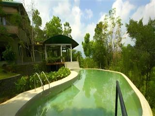 Mangrove Escapes Resort - 9