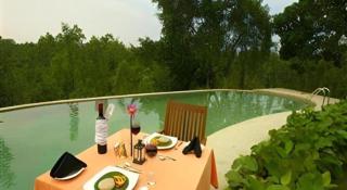 Mangrove Escapes Resort - 5