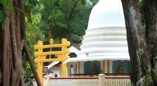 Mangrove Escapes Resort - 4