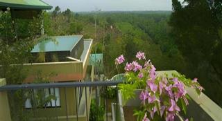 Mangrove Escapes Resort - 1