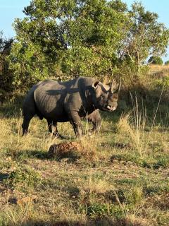 Oloiba Nkuti Lodge - 3
