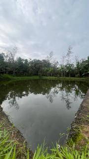 Chirackal Garden Mountain View, Cumbummettu - 4