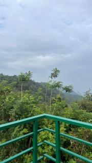 Chirackal Garden Mountain View, Cumbummettu - 2