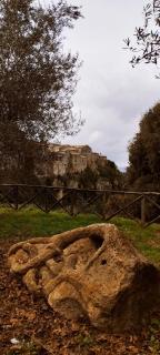 LA CHASCONA DI FARNESE casa di tufo nel borgo - 3