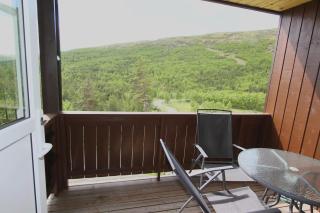 Cozy apartment near Besseggen with a private sauna - 4
