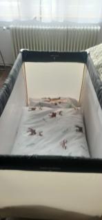 Soproniutas Ikva Apartman - 8