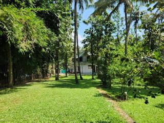 The Cove, ' the silent Symphony ' - 7