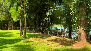 The Cove, ' the silent Symphony ' - 5